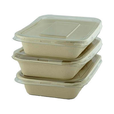 Sugarcane Unbleached Rect Container with PET Clear lid 750ml