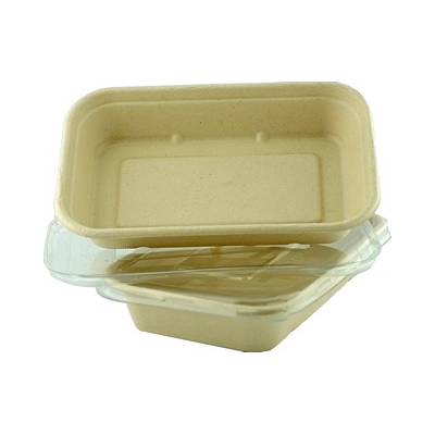Sugarcane Unbleached Rect Container with PET Clear lid 750ml