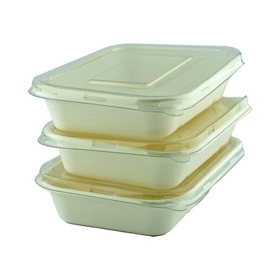 Sugarcane Unbleached Rect Container with PET Clear lid 1000ml