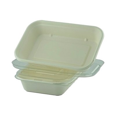 Sugarcane Unbleached Rect Container with PET Clear lid 1000ml