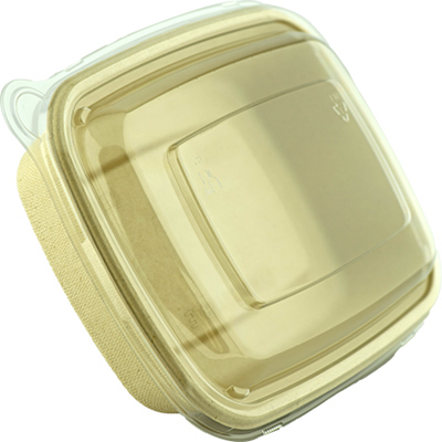 Sugarcane Rectangle container Unbleached CR-750