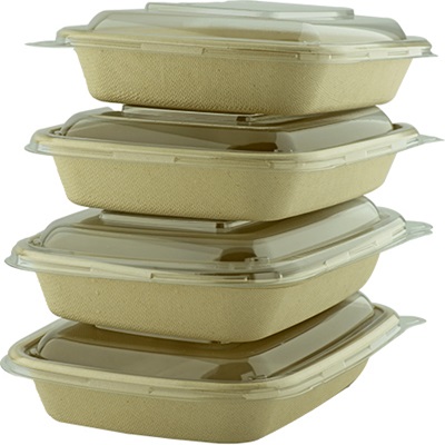 Sugarcane Rectangle container Unbleached CR-750