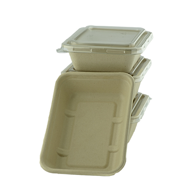 Sugarcane Rectangle Container Unbleached DBH 450,550,650,750