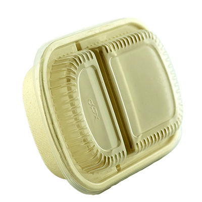 Sugarcane Rectangle Container Unbleached 2 Compartment Unbleached DPX-2