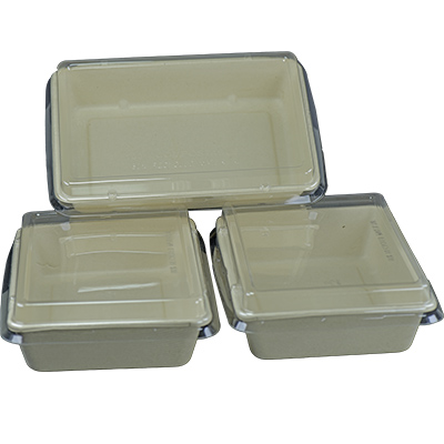 Sugarcane Rectangle Container Unbleached FC-28