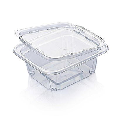 Clear Square container Hinged 1202