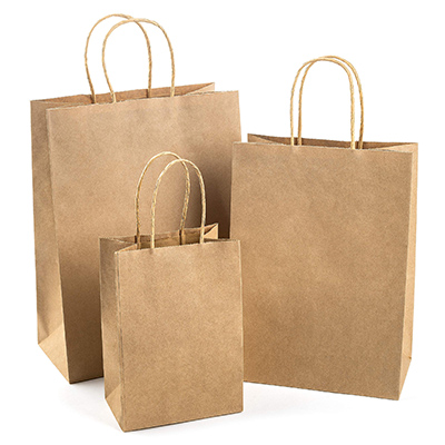 Paper Bag With Handle