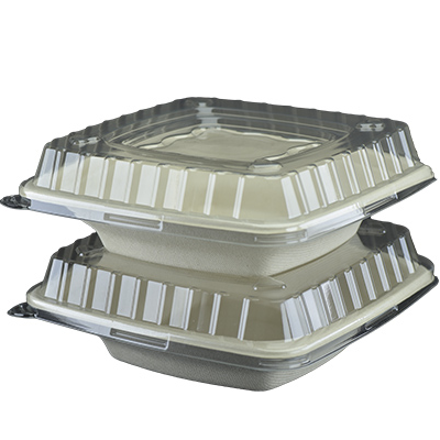 Sugarcane Rectangle Container Unbleached PB-016