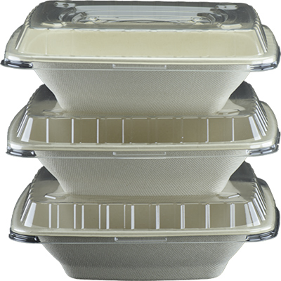 Sugarcane Rectangle Container Unbleached  PB-024