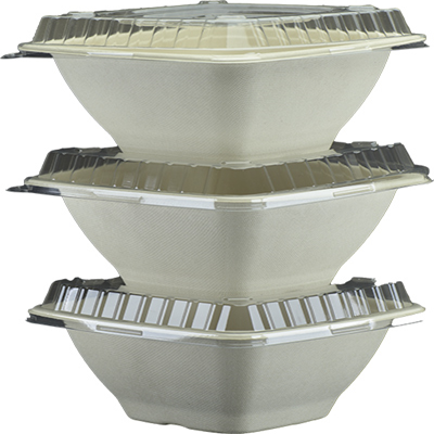 Sugarcane Square Container Unbleached PB 042