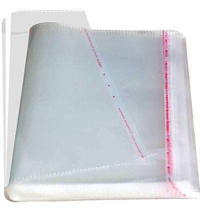 Clear Portion Bag