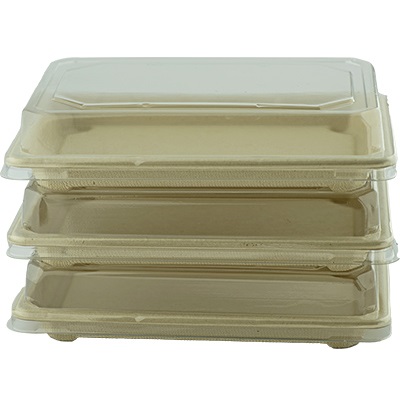 Sugarcane Sushi Container Rectangle Unbleached SS-10
