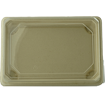 Sugarcane Sushi Container Rectangle  Unbleached SS-15