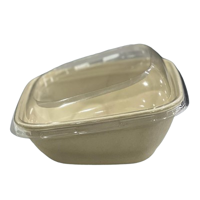 Sugarcane Rectangle Sloppy Container  BW 750