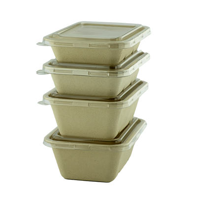Sugarcane Rectangle Container Unbleached DBH 450,550,650,750