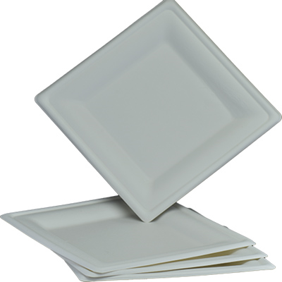 Sugarcane Square Plate Bleached PS-8