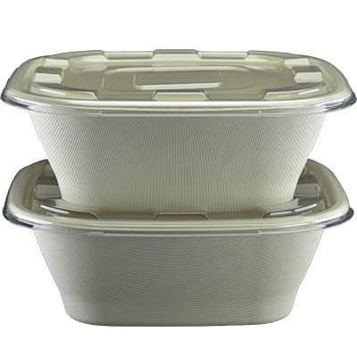 Sugarcane Square Container Unbleached SQ-120